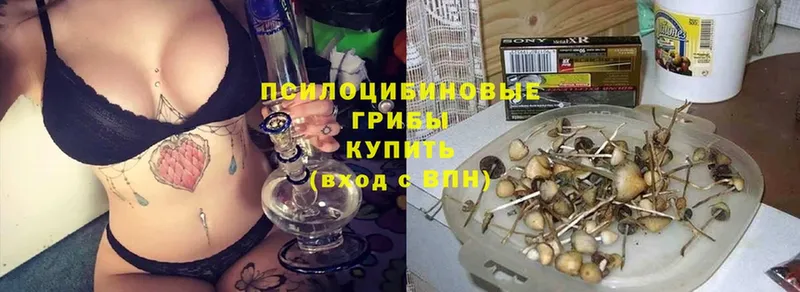 продажа наркотиков  Кубинка  Галлюциногенные грибы MAGIC MUSHROOMS 